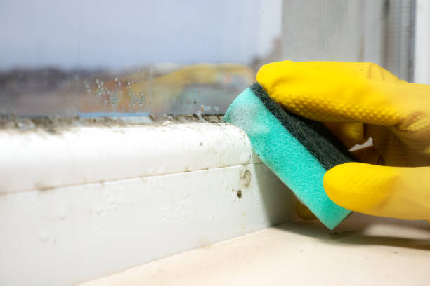 Water damage restoration process in Von Ormy, TX